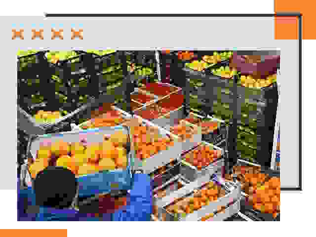 Перевозка скоропортящихся продуктов в Пятигорске
